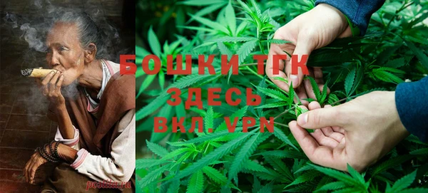 не бодяженный Ивангород
