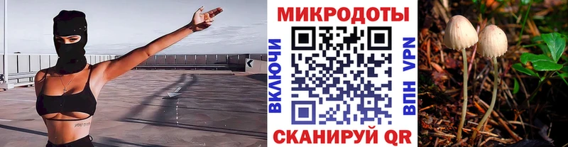 Псилоцибиновые грибы ЛСД  Вышний Волочёк 